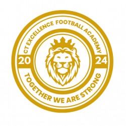 CT Excellence Football Academy